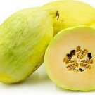 Crenshaw melon 35  SEEDS Cantaloupe Can weigh up to 10 LBS! Sweet