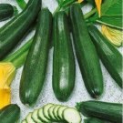 Black Beauty Zucchini Squash Summer 20 SEEDS Heirloom Prolific Spineless Green