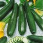 Black Beauty Zucchini Squash Summer 20 SEEDS Heirloom Prolific Spineless Green