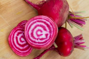 Chioggia Beet 60  SEEDS CandyStripe Bulls Eye Mild Bassano Microgreens