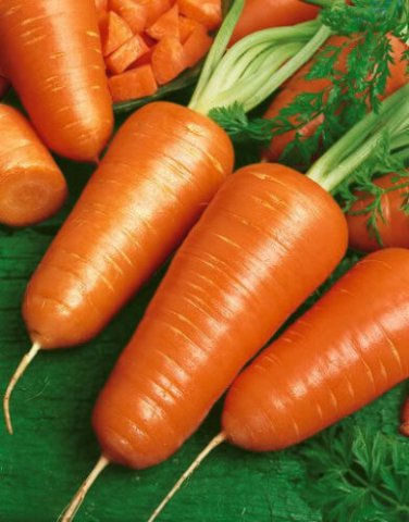 Chantenay Red core Carrot SEEDS 300 seed lots Gold-orange