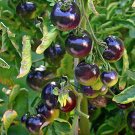 Heirloom Rare Small Black Green Tomato Hybrid F1 Fruits 100 SEEDS
