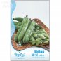 Horsebean  Nutrient-rich Vicia Faba 6 balcony organic vegetable SEEDS