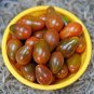 Chocolate Pear-shaped Cherry Tomato 100 SEEDS