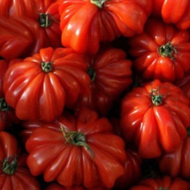 Rare Zapotec Ruffled Bright Red Tomato 100 SEEDS