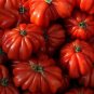 Rare Zapotec Ruffled Bright Red Tomato 100 SEEDS