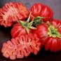 Rare Zapotec Ruffled Bright Red Tomato 100 SEEDS