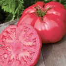 Pink Girl Big Bunches of Tomato 100 SEEDS