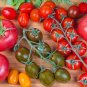 Mixed 27 Types of Different Tomato Family 100 SEEDS