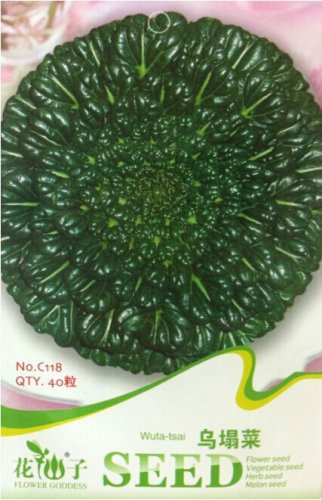 Wuta-tsai Chinese Black Vegetables 40 Green Vegetables SEEDS