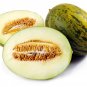PIEL DE SAPO MELON 15 Santa claus Toadskin melon SEEDS
