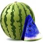 super1798 10 New Variety  Blue Watermelon Vegetable Organic ing SEEDS