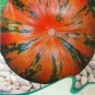 1 30 Edible Large Orange Pumpkin with Green Stripe  SEEDS