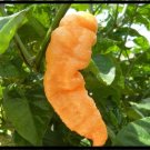 15 Peach Bhut Jolokia Ghost Pepper Extremely HOT chili Rare  Heirloom SEEDS