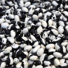 10 Calypso Bush Bean Certified aka Orka beans Yin Yang Caribbean Beautiful SEEDS