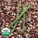 Painted Pony Beans 10 Organic Stringless pods Bush Snap or Dry Heirloom SEEDS