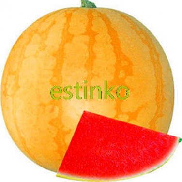 Huang Pi Qiu' Yellow Skin Red less Watermelon 13% Sugar Sweet Juicy 5  SEEDS