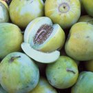 Sakata's Sweet Melon 15 Sweet Fruits can be grown on Trellis Easy Rare SEEDS