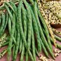 50 BLACKEYE PEA Black Eye Eyed Southern Cow Peas California Fresh Bean SEEDS