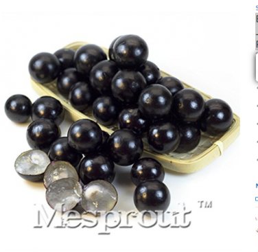 Brazilian Grape Tree 20 Jabuticaba Fruits At Trunk   SEEDS