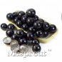 Brazilian Grape Tree 20 Jabuticaba Fruits At Trunk   SEEDS