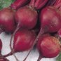 Ruby Queen Beet 130 Buttery Retains color Exceptionally tender Bulk SEEDS