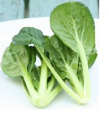 Tatsoi 500 Green Asian Mustard Thick Tender High Vitamin! Spinach SEEDS