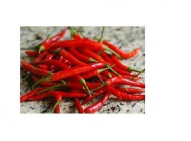 Thai red Hot chili pepper Spicy Asian Cuisine Bangkok Chinese 15  SEEDS