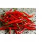 Thai red Hot chili pepper Spicy Asian Cuisine Bangkok Chinese 15  SEEDS