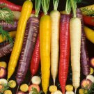 Organic Rainbow Blend Carrot 150 Rare HealthyFlavorful SEEDS