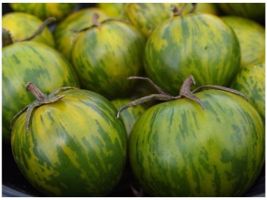 30 GREEN ZEBRA Tomato Delicious Unique color Fresh Beautiful SEEDS
