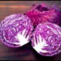 Red Acre Cabbage 500 purple tender healthy Leaves Early SEEDS