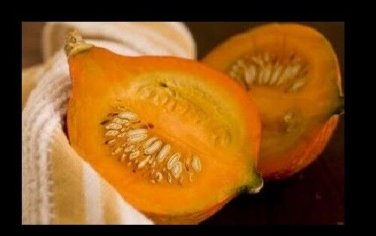 Golden Hubbard Winter Squash 10 Wholesale Bulk Fresh SEEDS