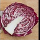 Radicchio Rouge De Verona 500 Beautiful Red Chicory SEEDS