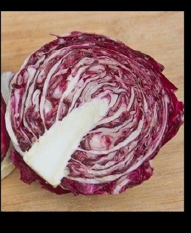 Radicchio Rouge De Verona 500 Beautiful Red Chicory SEEDS