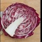 Radicchio Rouge De Verona 500 Beautiful Red Chicory SEEDS