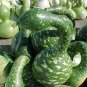 Speckled swan 10 gourd pretty unusual arts & crafts SEEDS