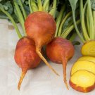 Burpee's Golden Beets 100 treated 55 days Bulk SEEDS