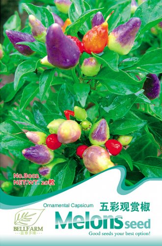 Hot Chilli Sweet Pepper B002 SEEDS