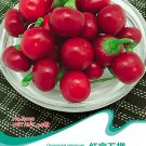 Hot Chilli Sweet Pepper B010 SEEDS