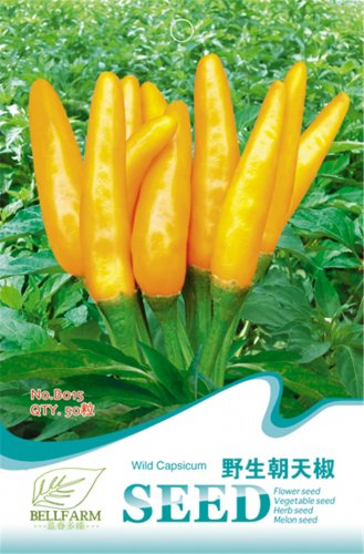 Hot Chilli Sweet Pepper B015 SEEDS