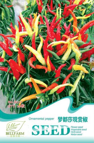 Hot Chilli Sweet Pepper B077 SEEDS