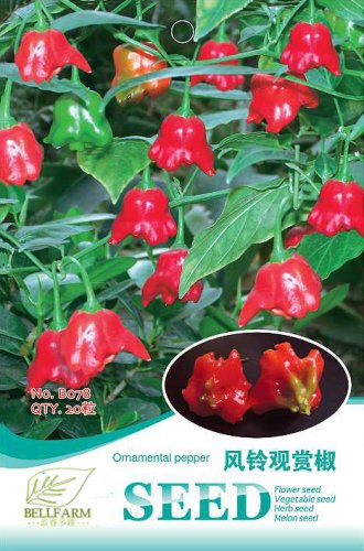 Hot Chilli Sweet Pepper B078 SEEDS