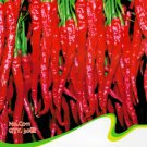 Hot Chilli Sweet Pepper C011 SEEDS