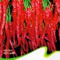 Hot Chilli Sweet Pepper C011 SEEDS