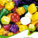Hot Chilli Sweet Pepper C024 SEEDS
