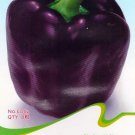 Hot Chilli Sweet Pepper C062 SEEDS