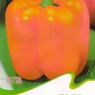 Hot Chilli Sweet Pepper C063 SEEDS