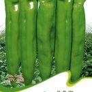 Hot Chilli Sweet Pepper C077 SEEDS