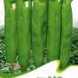Hot Chilli Sweet Pepper C077 SEEDS